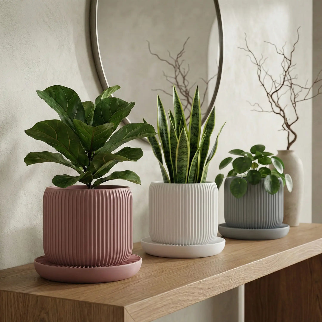 Maceteros Pequeños - Transforma tus Estancias
