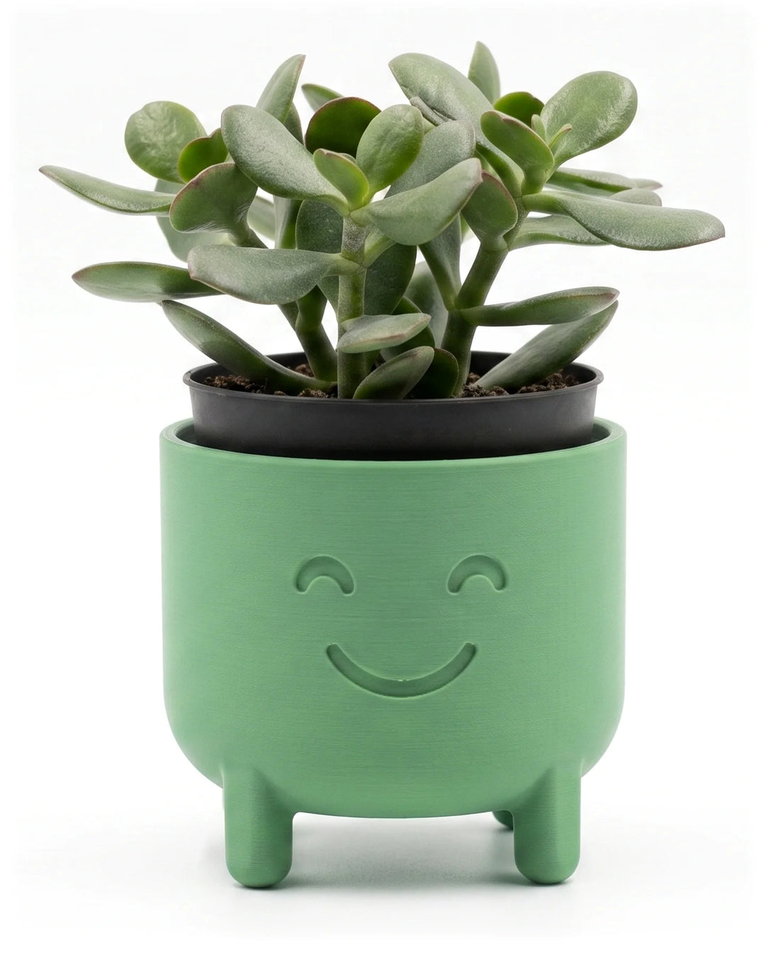 Macetero con cara sonriente en verde salvia con planta crasa