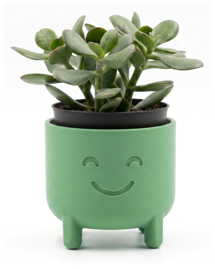 Macetero con cara sonriente en verde salvia con planta crasa