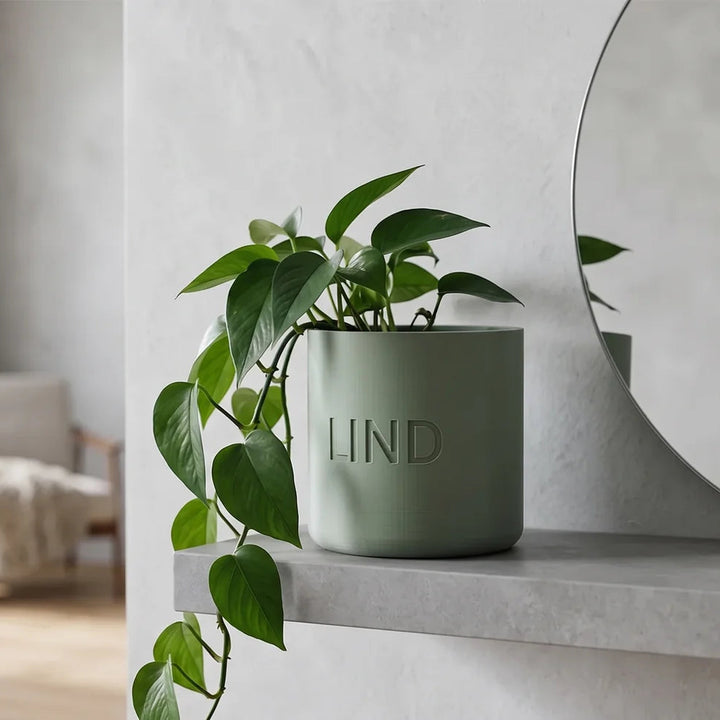 Personalized Nordic planter in sage green with pothos on a light wood shelf