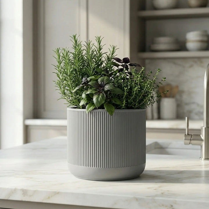 Maceta gris diseño moderno en encimera de cocina mármol conteniendo plantas aromáticas frescas