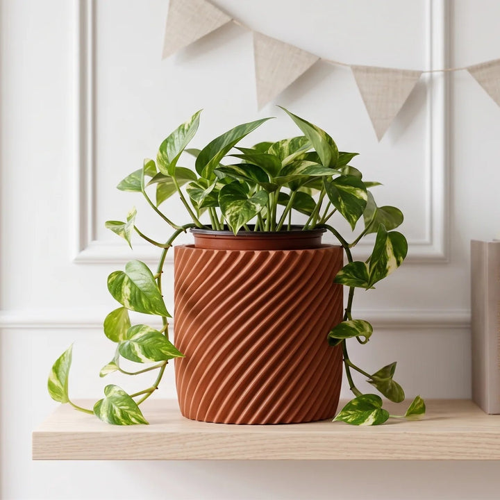 Blumentopf mit spiralförmigen Rillen