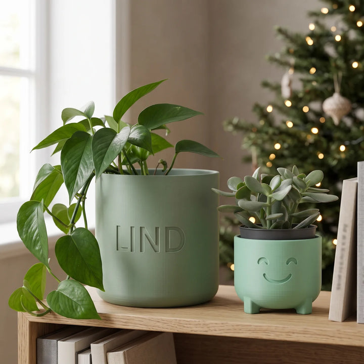 Macetero nórdico y macetero sonriente con plantas en una estantería